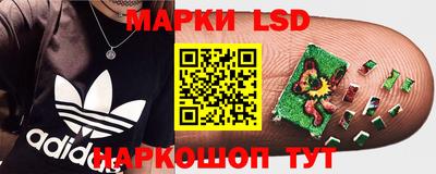 PSILOCYBIN Донской