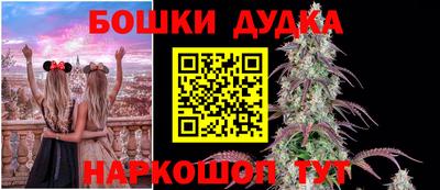 PSILOCYBIN Донской